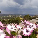 Apartamento Bela Vista - cozinha e suíte